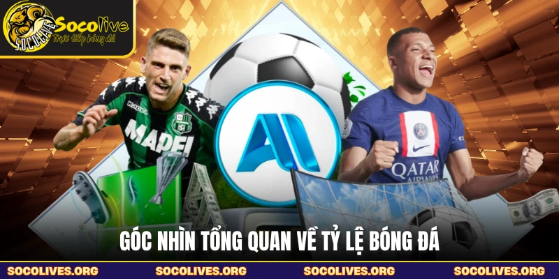 Góc nhìn tổng quan về tỷ lệ bóng đá