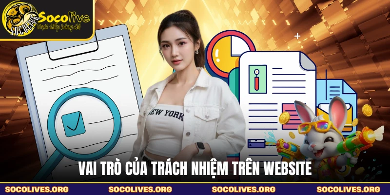 Vai trò của trách nhiệm trên website